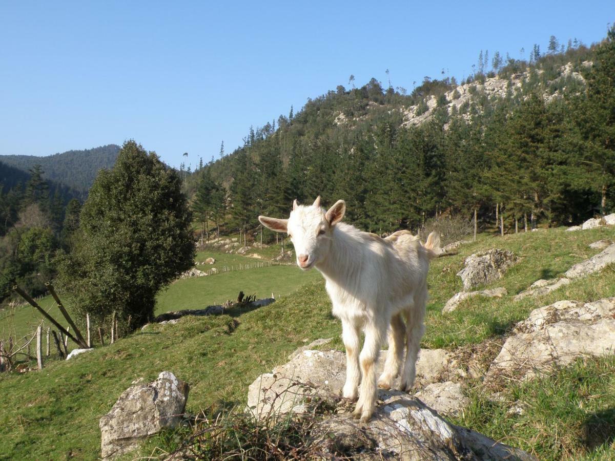 Guizaburuaga Casa Rural Akuiola旅馆 外观 照片